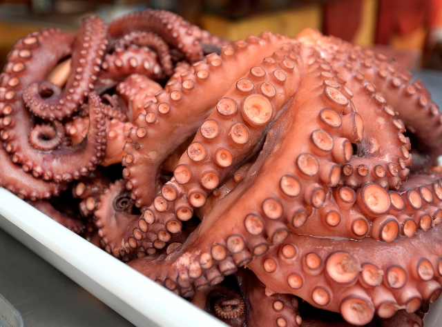 Faico cooked octopus in its juice