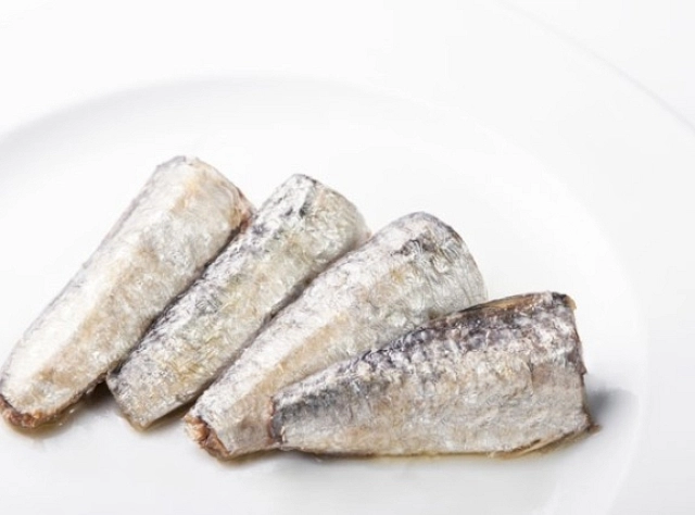 Sardines in Olive Oil 16/22 RR-125