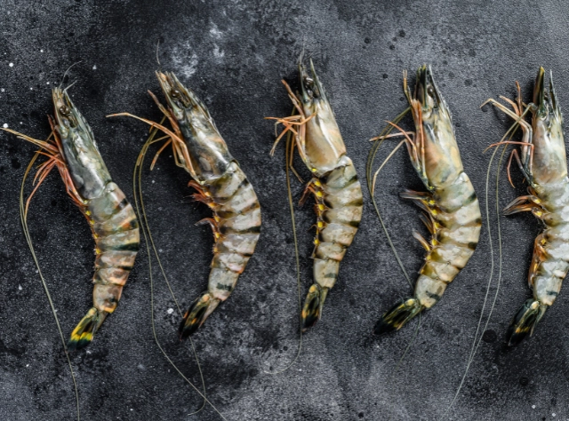 Tiger Prawn